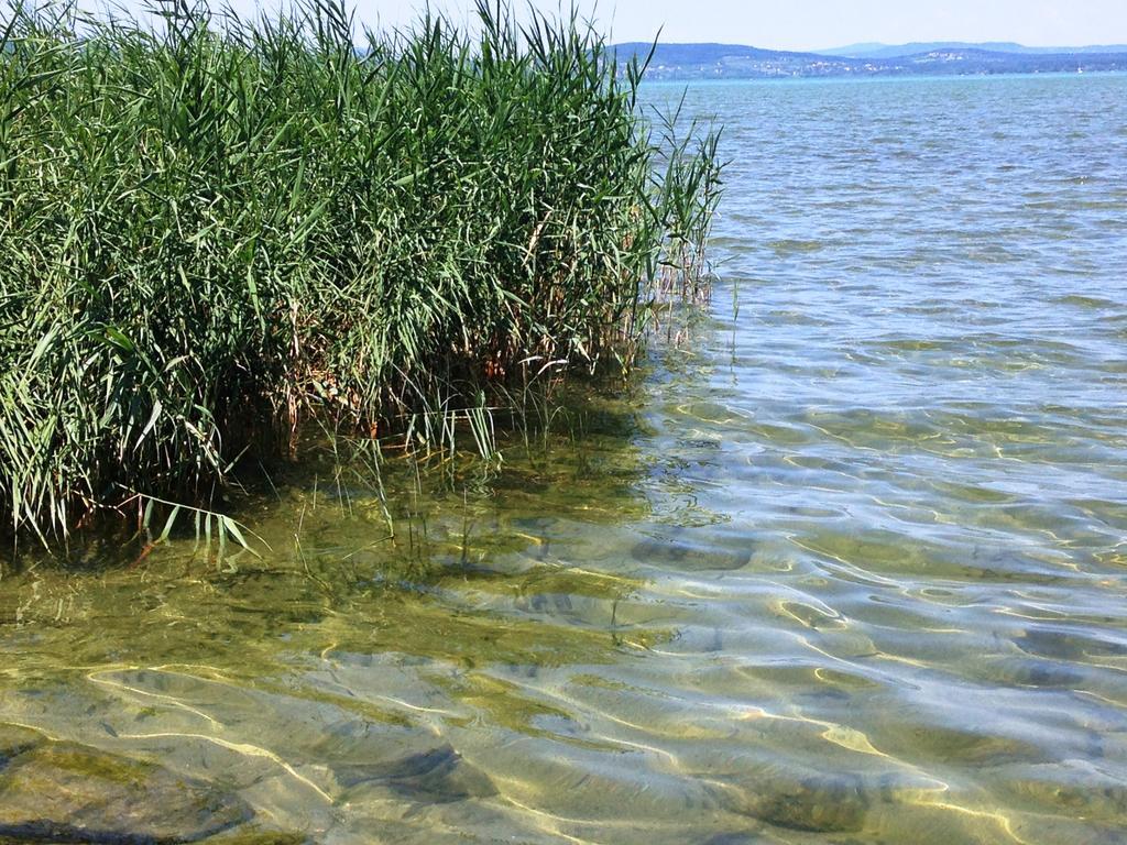 Boglari Villa Balatonlelle Pokoj fotografie